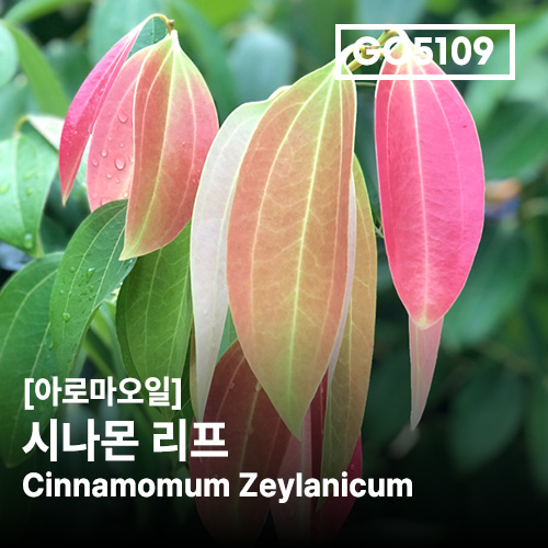 상품 섬네일