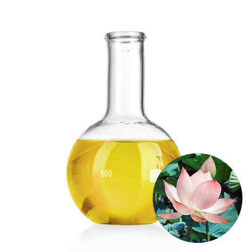 »óǰ ¼¶³×ÀÏ »óǰ ¼¶³×ÀÏ