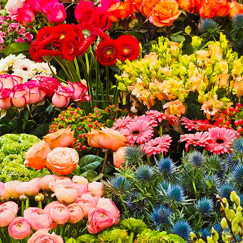 ��ǰ ������