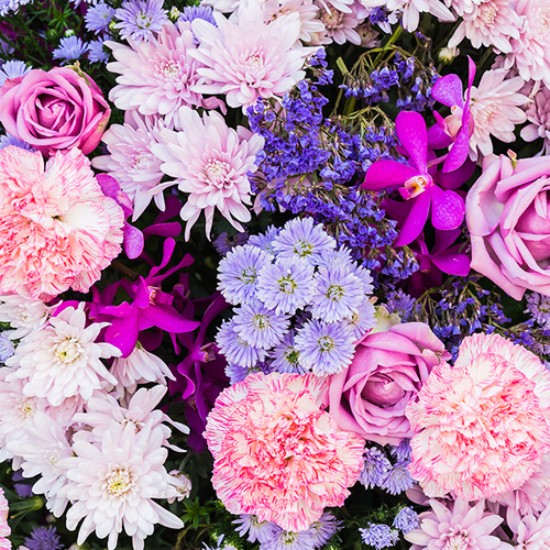 ��ǰ ������