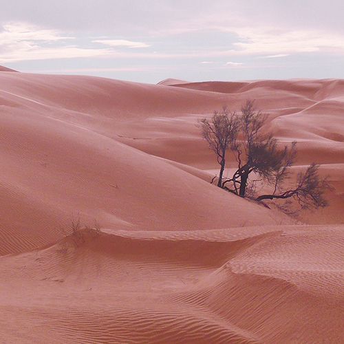 ��ǰ ������