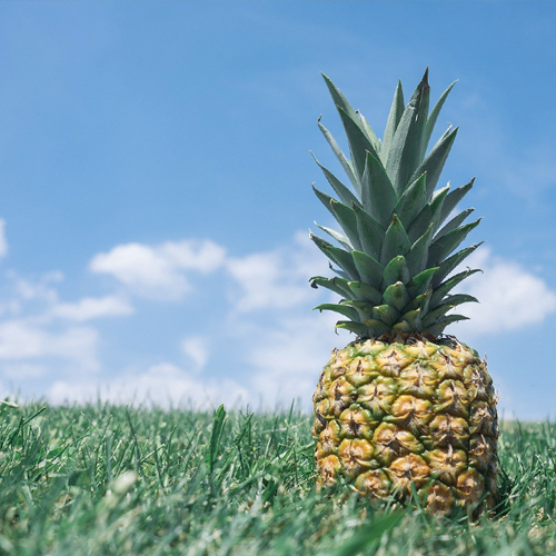 ��ǰ ������