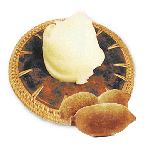 ǰ 